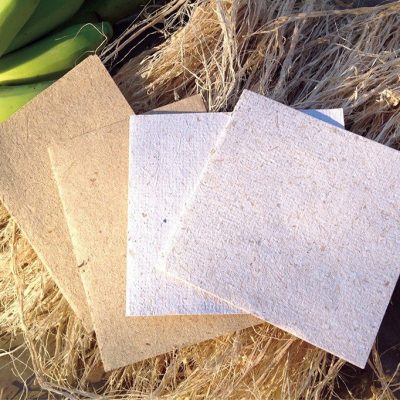 Everything-You-Need-To-Know-About-Banana-Fibre-Paper
